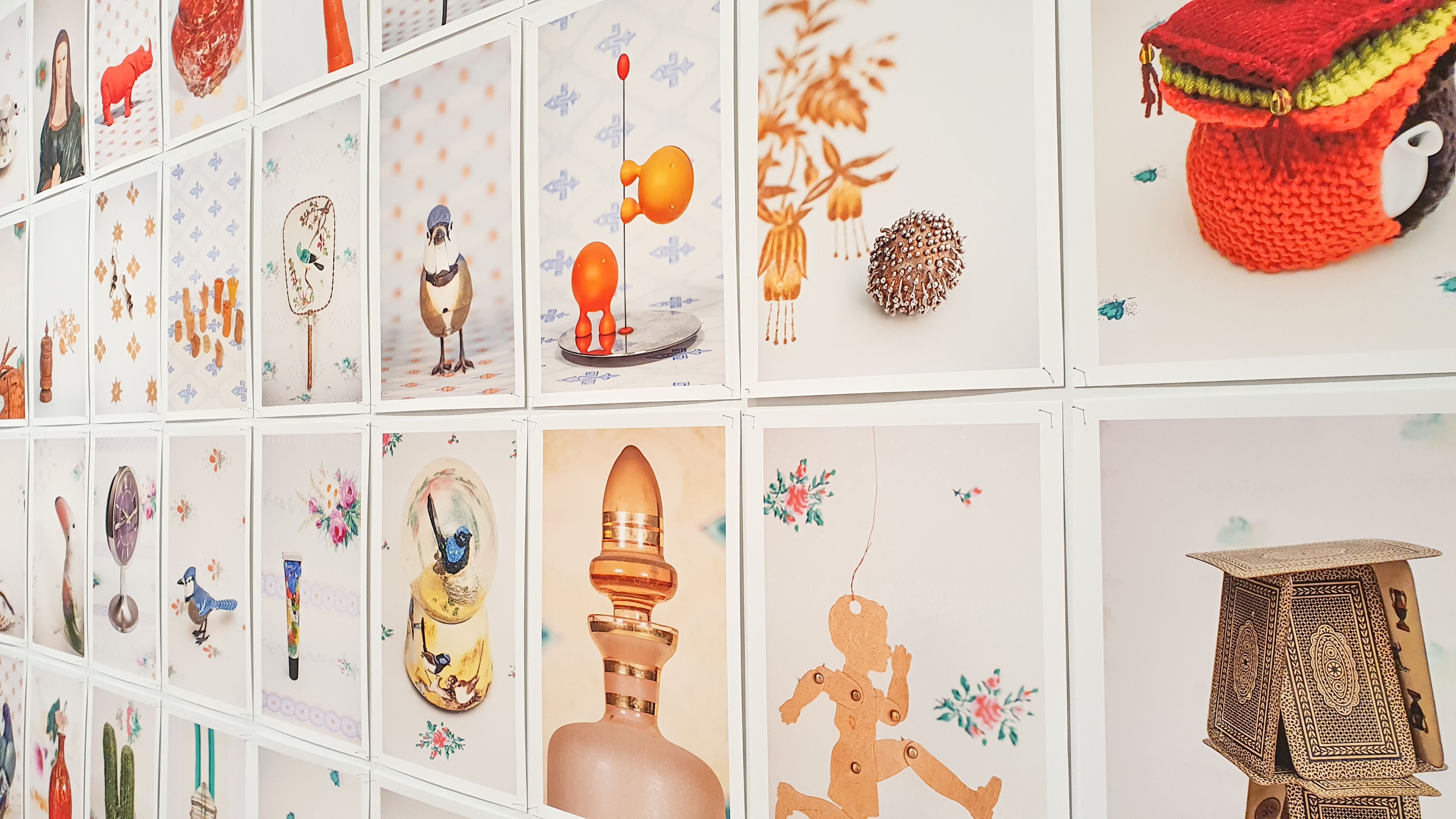 Cabinet of Curiosities artwork A large series of a4 photographs showing quirky household objects, such as a knitted tea-cozy and blue wren slow globe, are displayed on a white wall in the Boroondara Town Hall Gallery