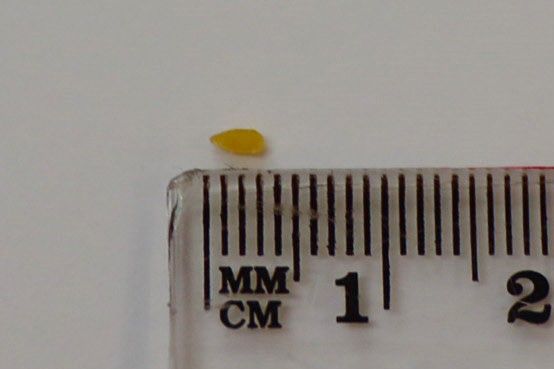 Image of the implant