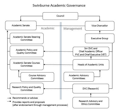 Swinburne Academic Governance The Swinburne Academic Governance organisation chart illustrates the relationship between the University Council and the academic and management functions. Council is the overarching body, with Academic Senate and the Vice-Chancellor reporting through to Council. In relation to the Academic function, sub-committees reporting to Academic Senate include the Academic Senate Steering Committee, Academic Policy and Quality Committee, Academic Senate Courses Committee and Research Policy and Quality Committee. Guided by the DVC (Academic), Heads of Academic Units, Course & Academic Advisory Committees, DVC (Research) and Research Advisory & Ethics Committee. In relation to the management function, Executive Group report through to the Vice-Chancellor, along with the Snr DVC & Chief Academic Officer and the DVC (Research).