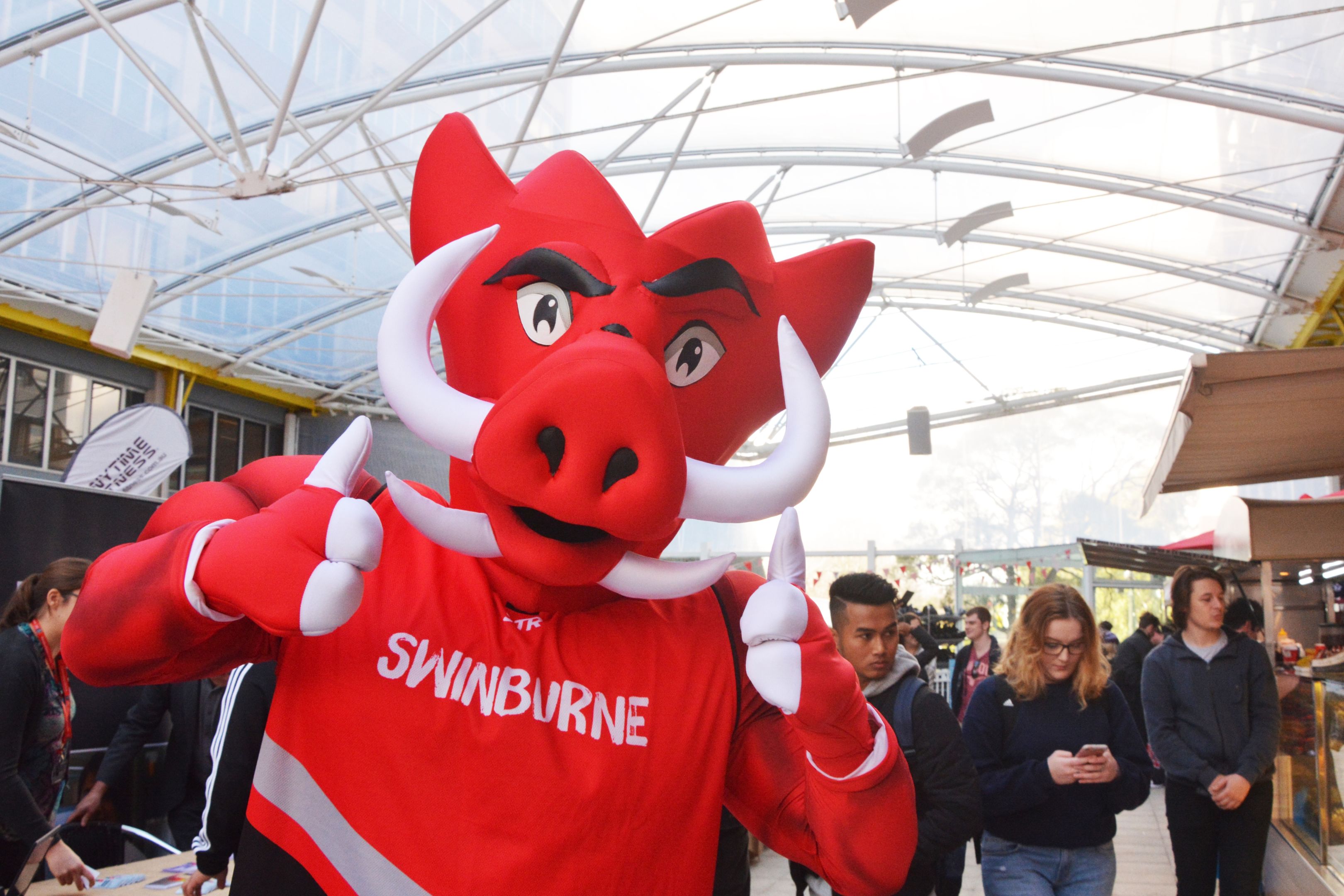 Razor the Razorback Swinburne's mascot, Razor the Razorback (a wild boar), giving the thumbs up.