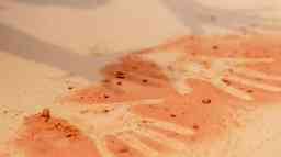 Two hand prints in red scattered dust. 