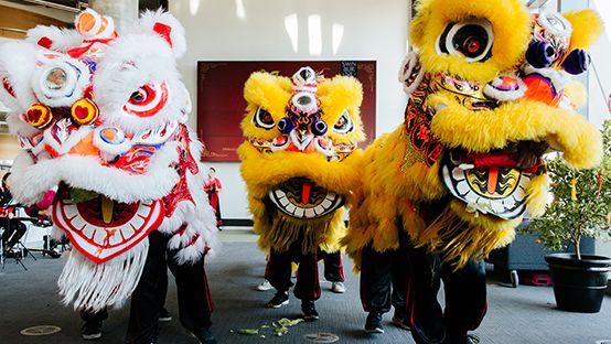 Swinburne Lunar New Year celebrations in 2019. 3 traditional Lunar New Year lion costumes, operated by 6 people, perform a dance