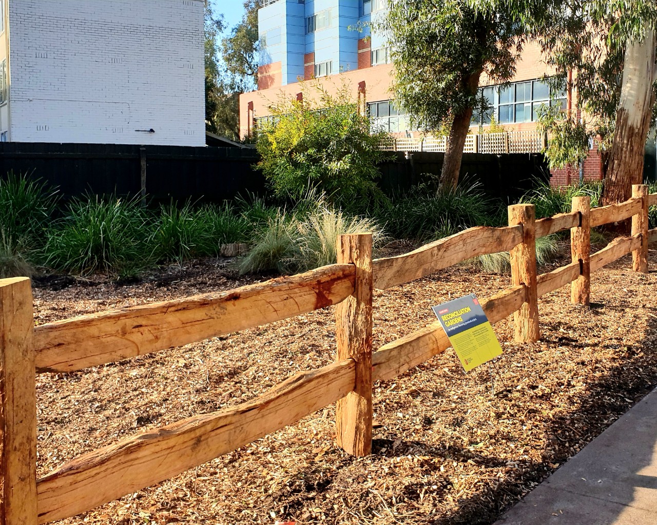 Aunty Dot Peters Flowering Grassland on Hawthorn campus