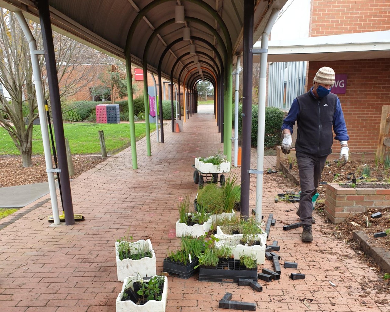 The construction of Aunty Dot Peters Flowering Grassland on Wantirna campus
