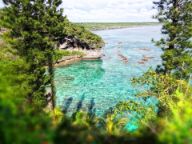 View of clear blue water through the trees