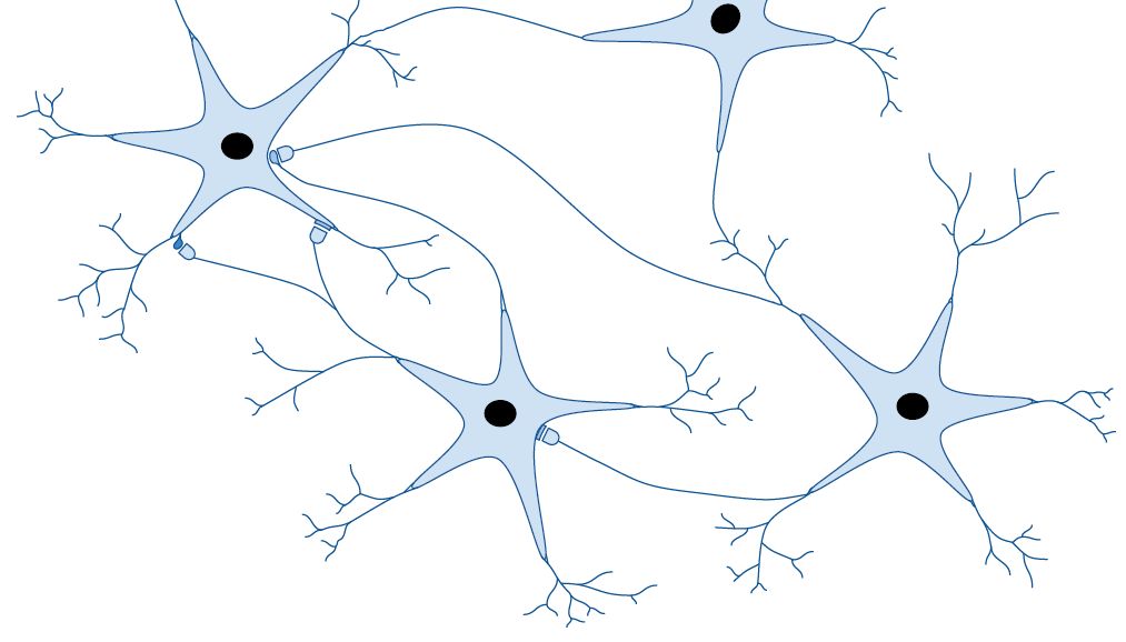 Bacopa and cognitive training figure 4 A drawn diagram of scientific research featuring blue star-like figures connected by lines
