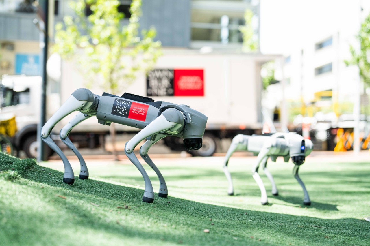 Two robot dogs outside the Mobile Innovation Lab.