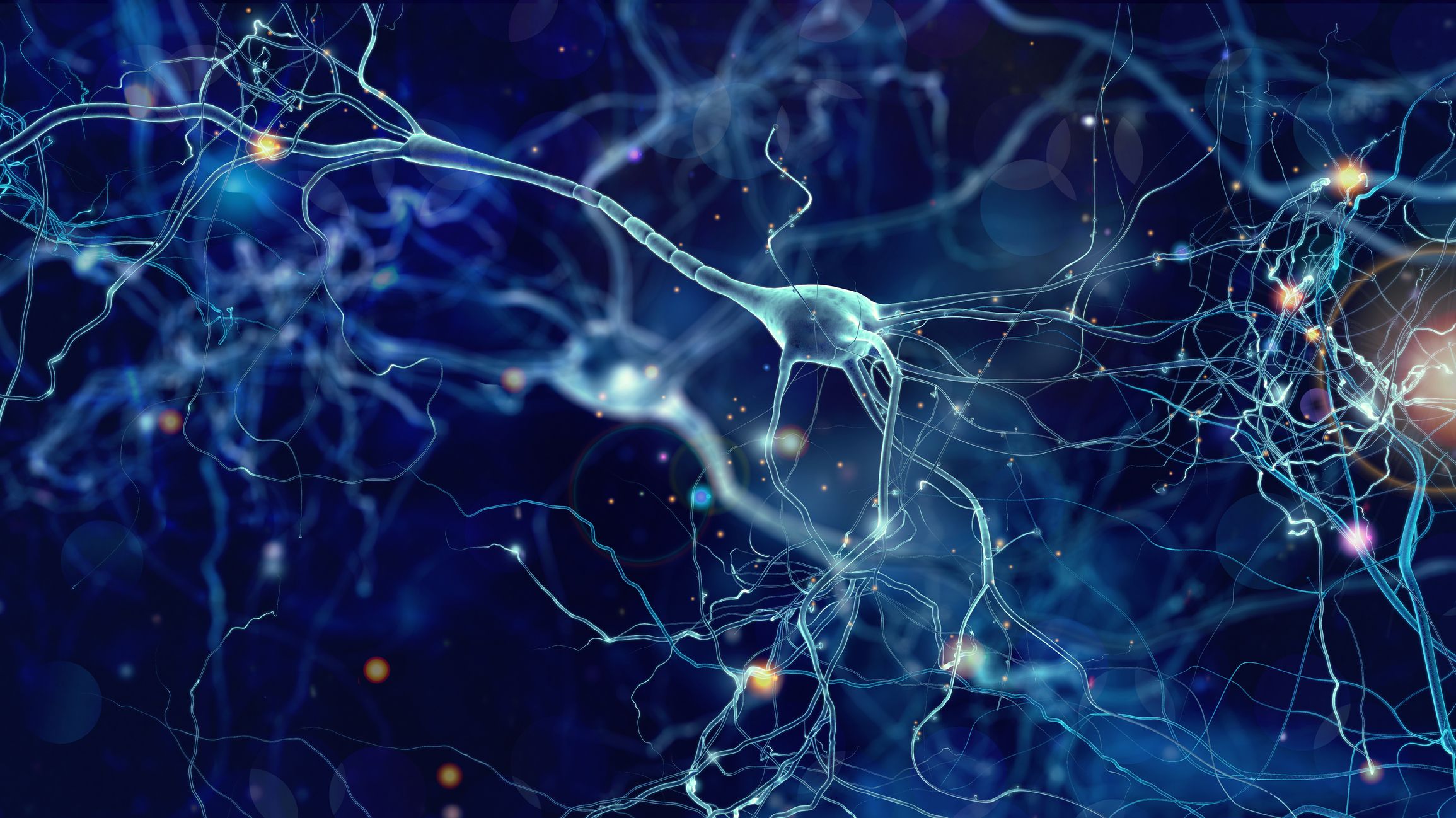 Neuron system Neuron system