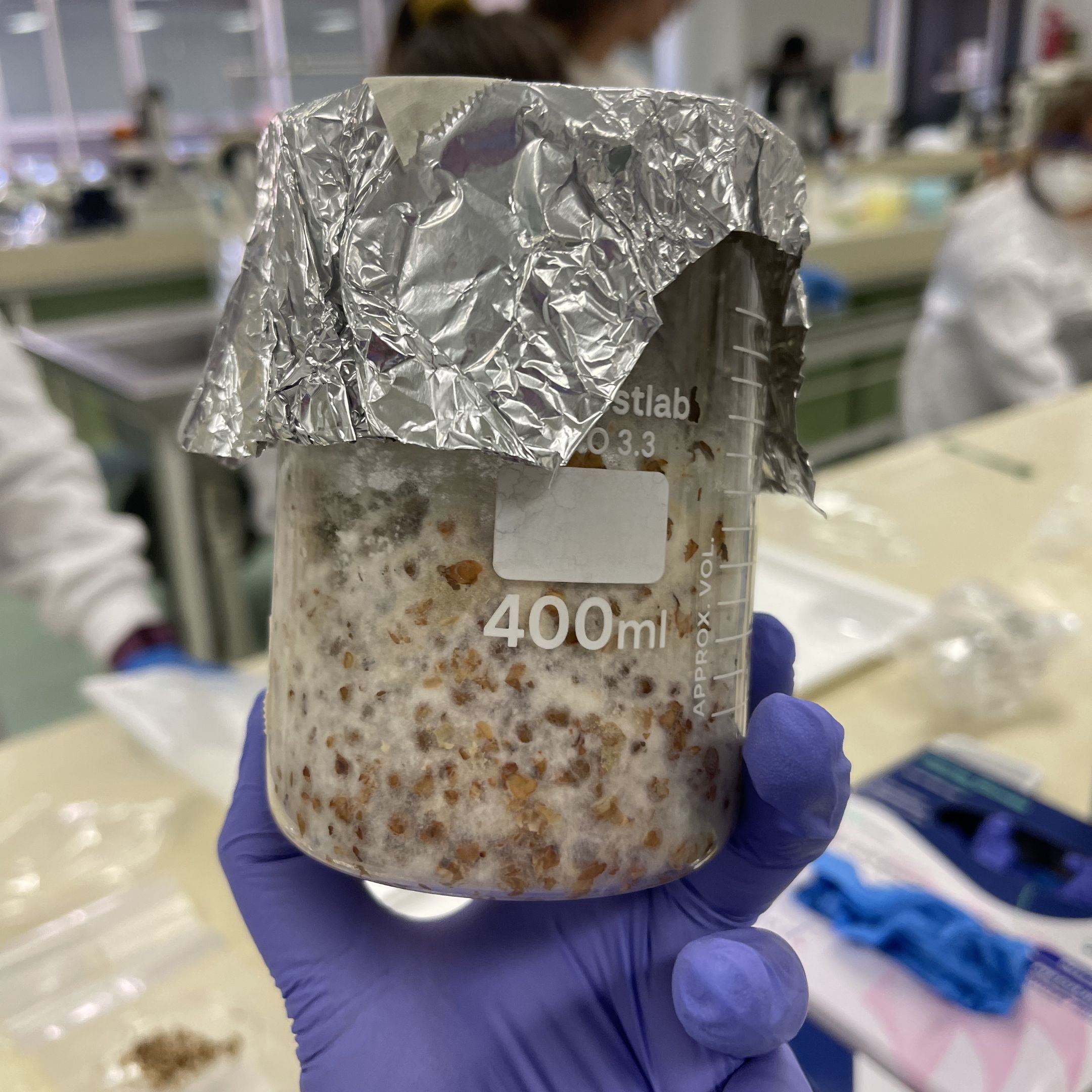 A jar containing fungi fungi