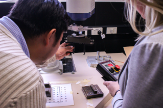 Doctor of Philosophy in Technology Innovation - Science, Engineering and Technology