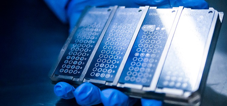 Plates used on the MALDI-TOF to detect different types of bacteria isolated from environmental samples. Plates used on the MALDI-TOF to detect different types of bacteria isolated from environmental samples.