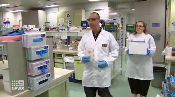 Dr Huseyin Sumer and Dr Sara Webb in the lab
