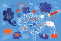 Learning Brain Concept